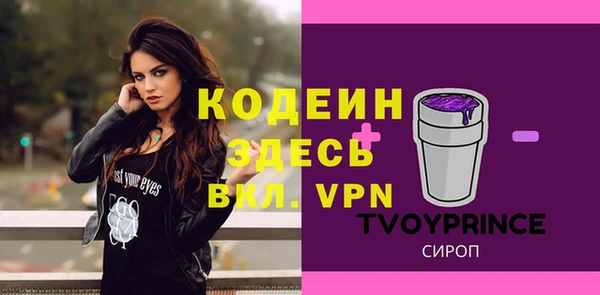 гашик Балахна