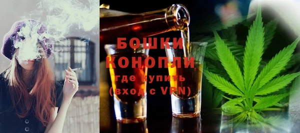 гашик Балахна