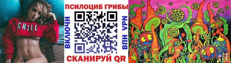 купить   Курганинск  shop телеграм  Псилоцибиновые грибы ЛСД 
